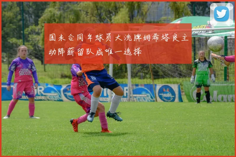 国米合同年球员大洗牌姆希塔良主动降薪留队成唯一选择