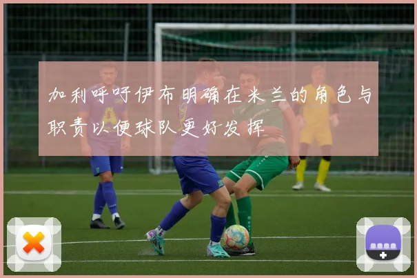 加利呼吁伊布明确在米兰的角色与职责以便球队更好发挥